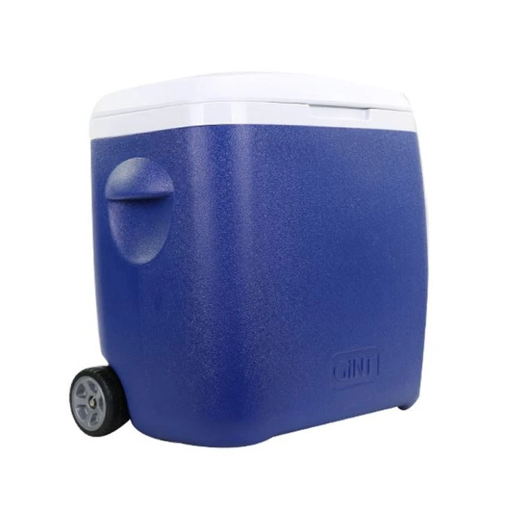 20 Quart Marine Cooler