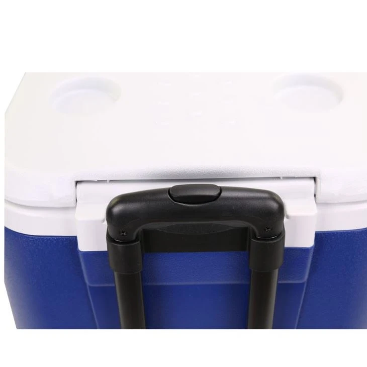 Cooler