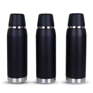 Bouteille thermos en acier inoxydable