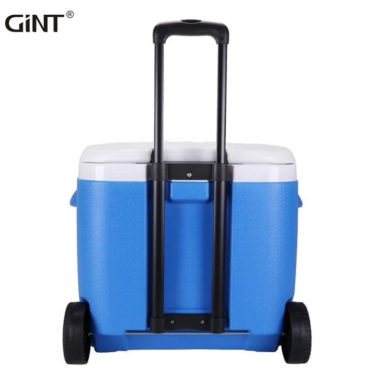 Rotomold Picnic Cooler Box